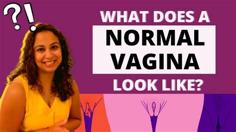 Non estrogen cream for dryness. . Average vagina pictures